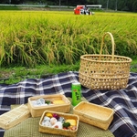 野餐