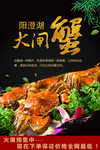 阳澄湖大闸蟹宣传海报