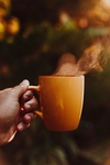 水杯