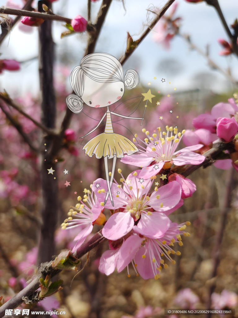 粉色向阳小花