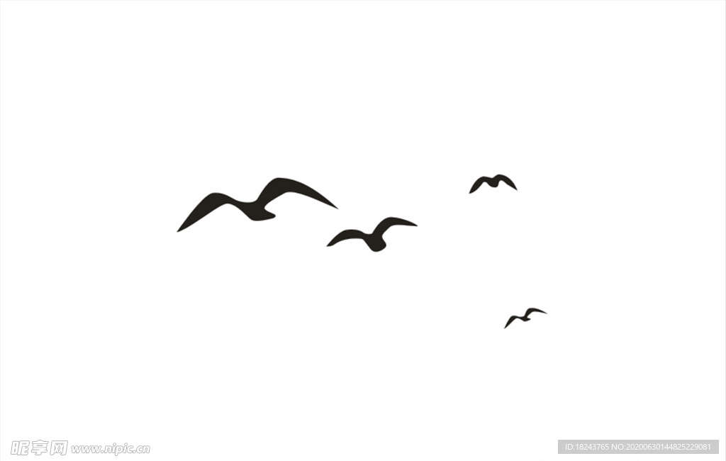 海鸥