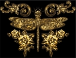 黄金蜻蜓