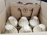 酒类包装箱