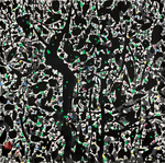 中国风水墨风景国画