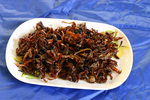 傣味油鸡棕菌
