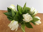 一束栀子花