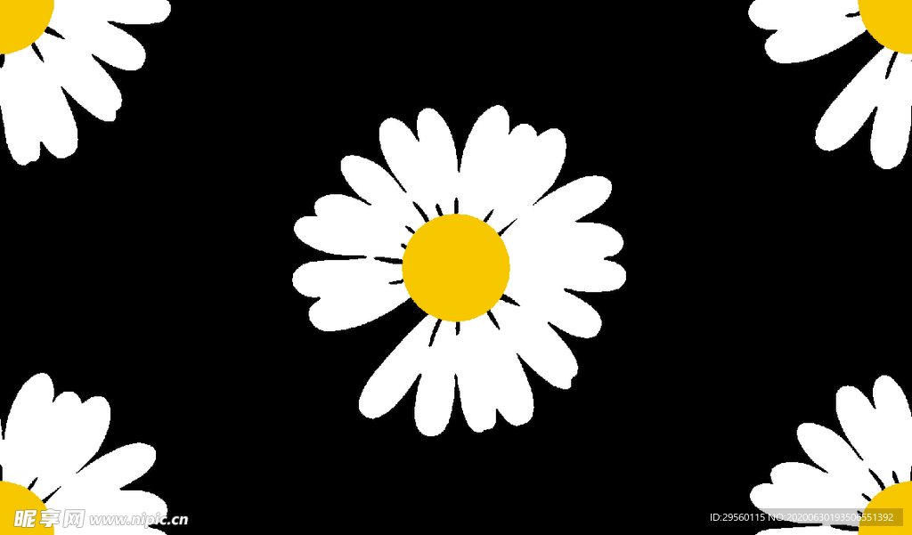 小菊花