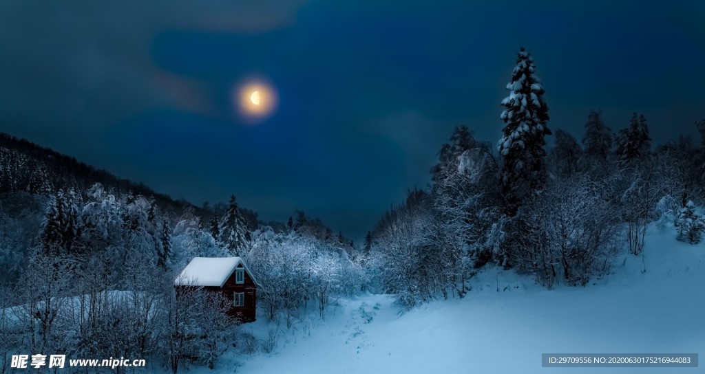 夜晚雪景