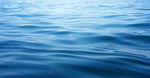 海