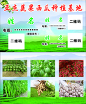 蔬果西瓜种植基地