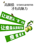 酵素海报