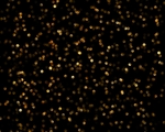 粒子