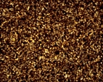 金色粒子