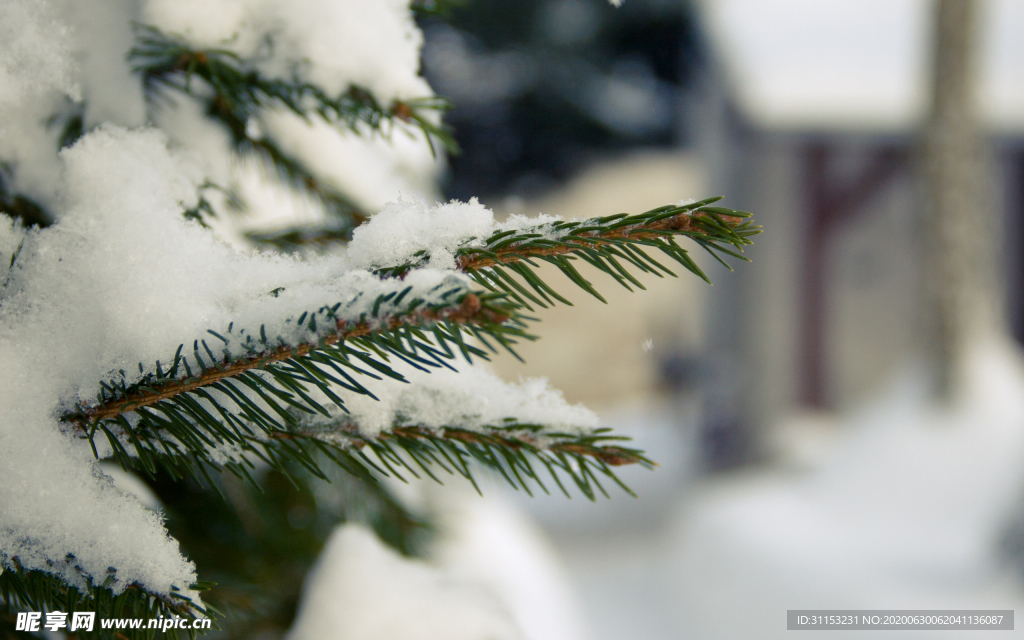 雪