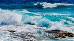 海