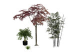植物树竹子3d模型