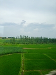 自然景观