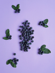 水果蔬菜