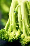 水果蔬菜