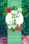 小暑