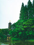绿色