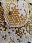 蜂蜜