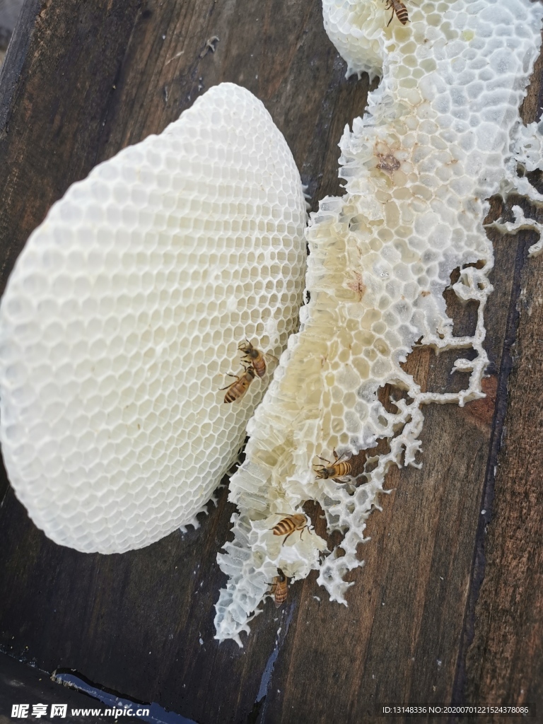 蜂蜜