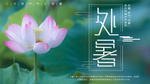 清新荷花处暑