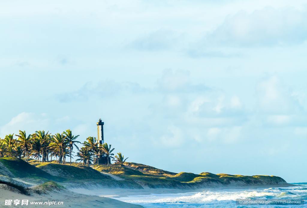 海滩的风景