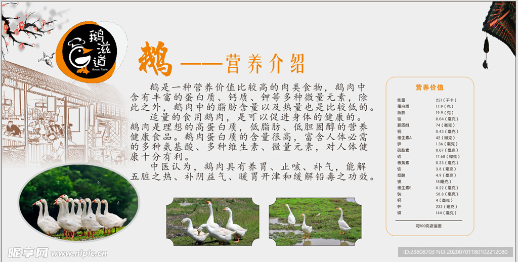 鹅营养价值
