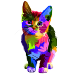 猫