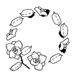 圆边框