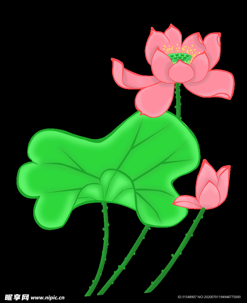 莲花