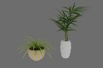 植物盆栽3d模型