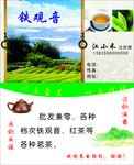 铁观音名片