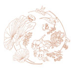 荷花矢量图