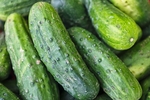 水果蔬菜
