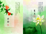 夏至 荷花 芒种