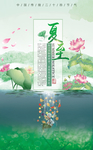 湖水 荷花