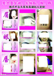 纹眉