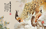花开富贵孔雀背景