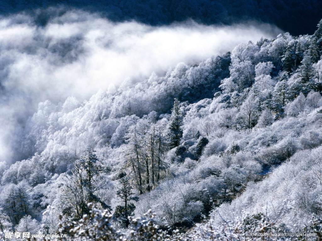 自然雪景