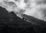 风景