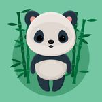 竹林里的熊猫