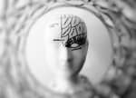 3D人脸