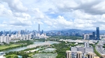 城市