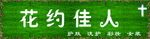 绿植背景 唯美墙体 绿色植物墙