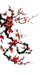 中国风国画手绘梅花