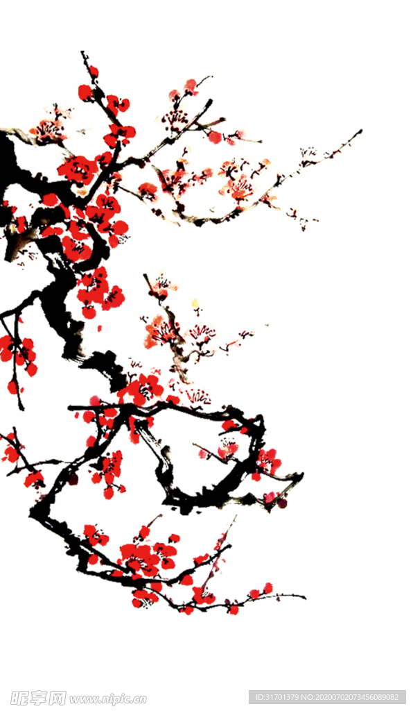 中国风国画手绘梅花