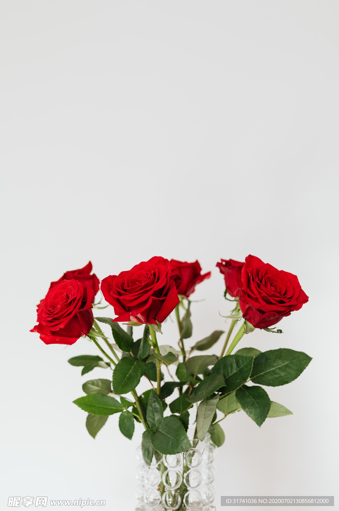 玫瑰花